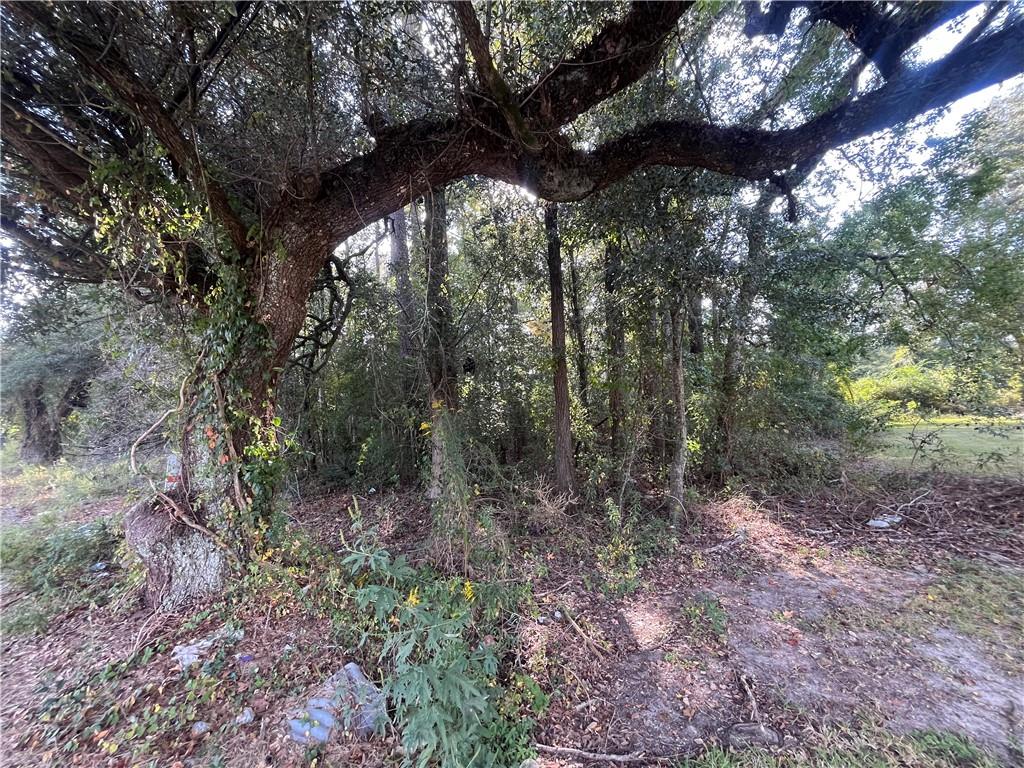 Martin Luther King Avenue, Hammond, Louisiana image 1