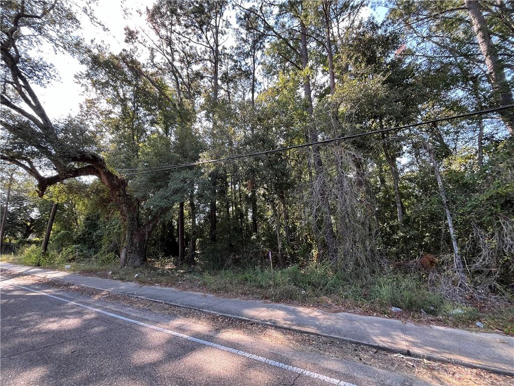 Martin Luther King Avenue, Hammond, Louisiana image 3