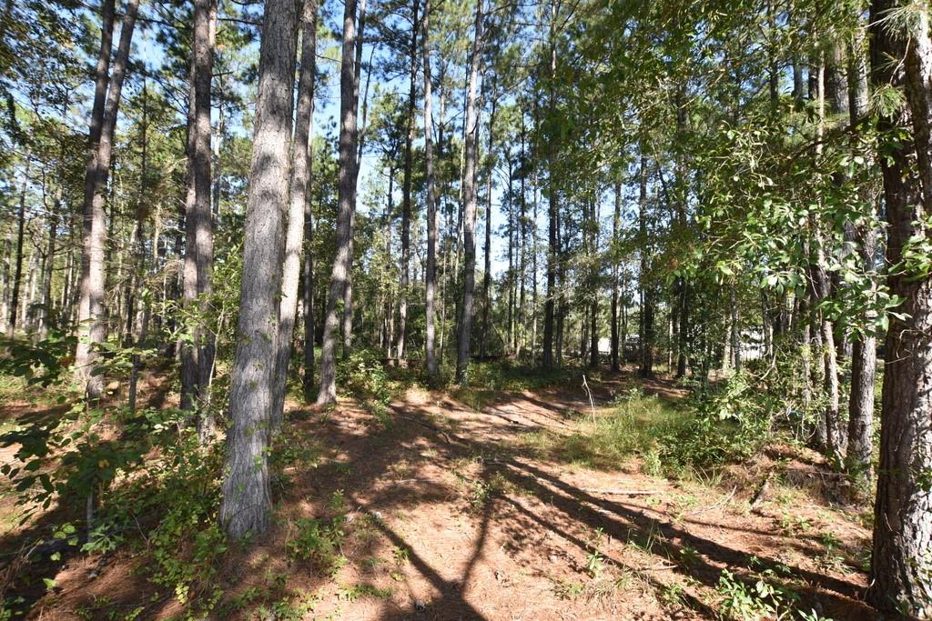 66299 Chris Kennedy Road, Pearl River, Louisiana image 3