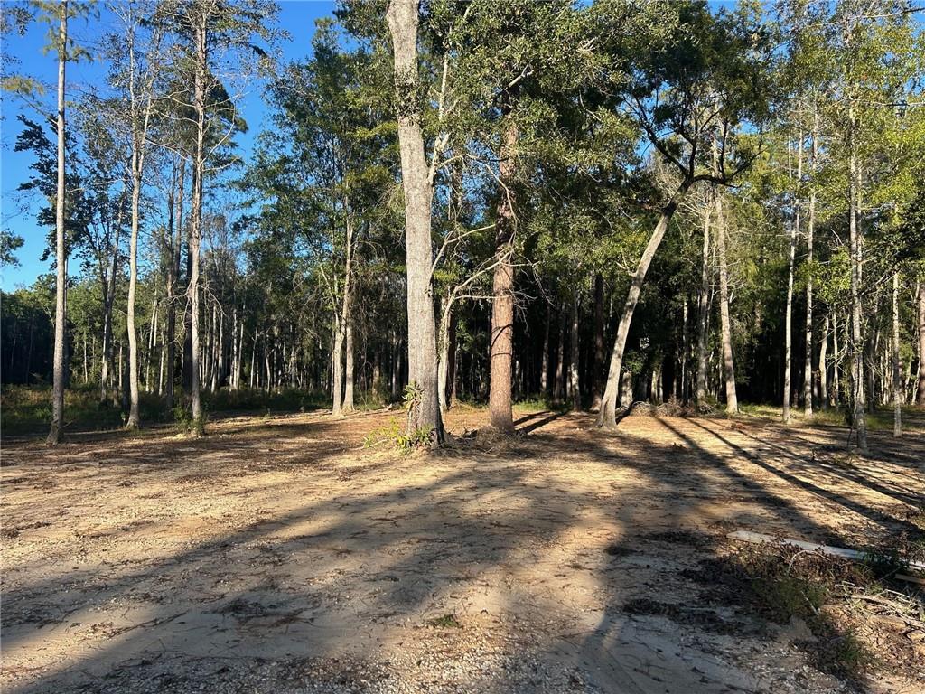 Cypress Pond Road, Mandeville, Louisiana image 1