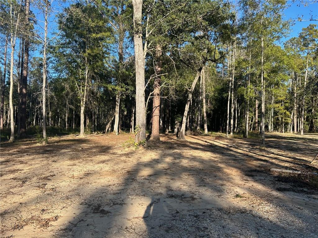 Cypress Pond Road, Mandeville, Louisiana image 2