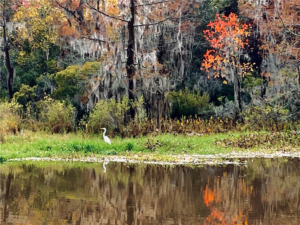 633 Colbert Street #33, Mandeville, Louisiana image 25