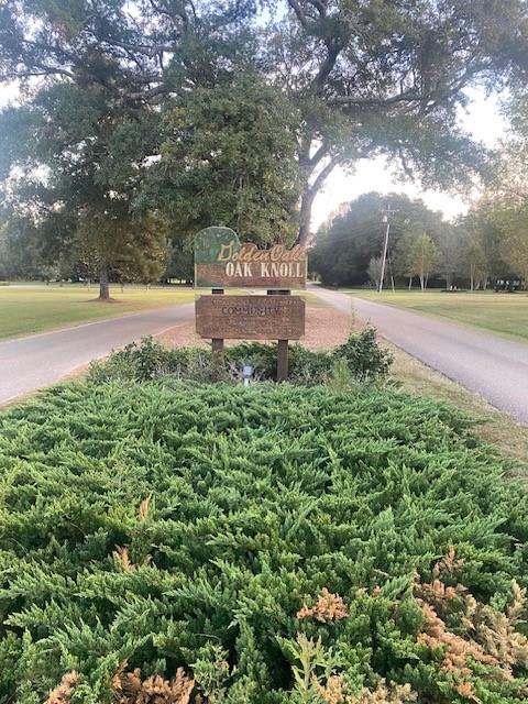 Holly Court, Abita Springs, Louisiana image 2