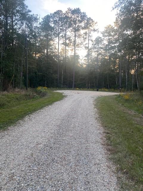 Holly Court, Abita Springs, Louisiana image 3