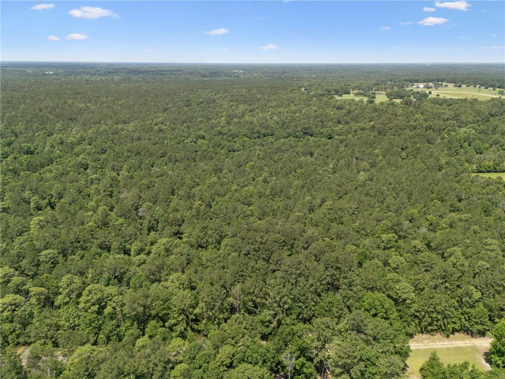 Parcel C (12.82 Acres) Dreamland Court, Folsom, Louisiana image 3