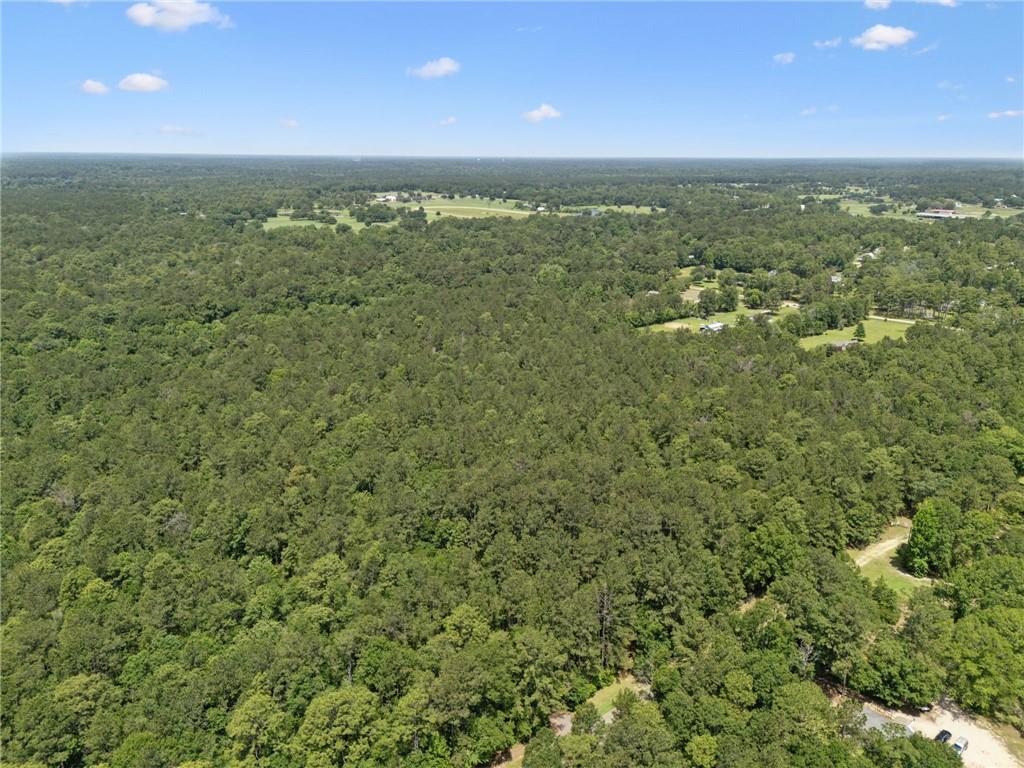 Parcel C (12.82 Acres) Dreamland Court, Folsom, Louisiana image 7