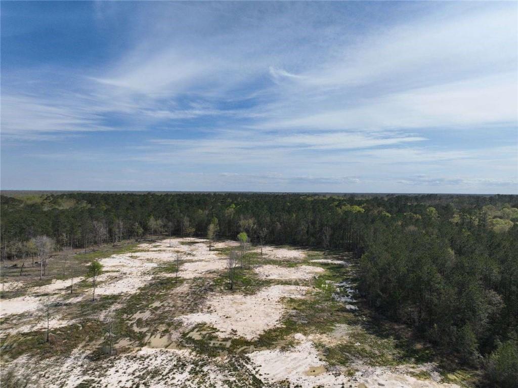 10 Acres Vacant Land Raiford Road, Ponchatoula, Louisiana image 2