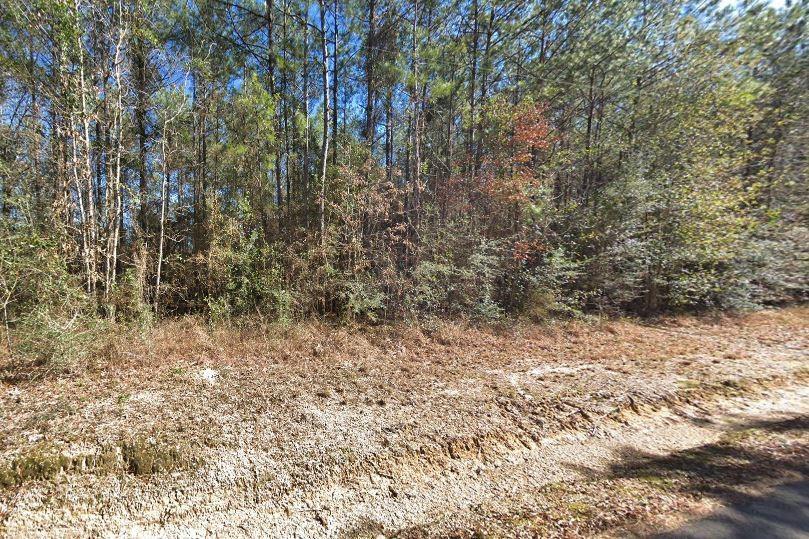 10 Acres Vacant Land Raiford Road, Ponchatoula, Louisiana image 5