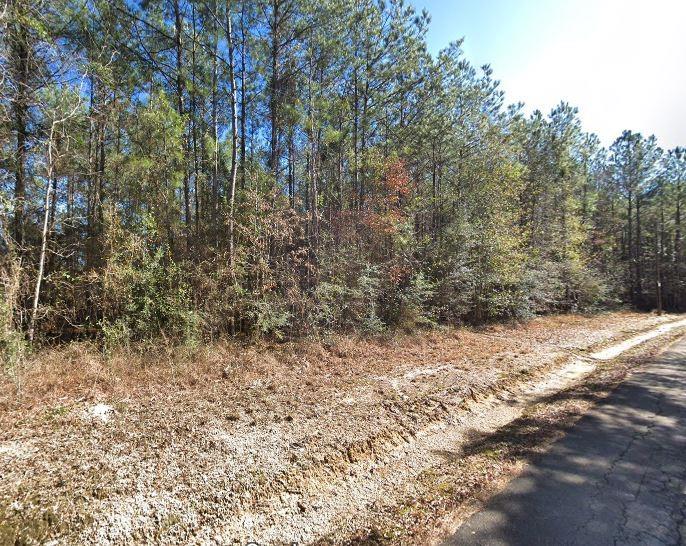 10 Acres Vacant Land Raiford Road, Ponchatoula, Louisiana image 6