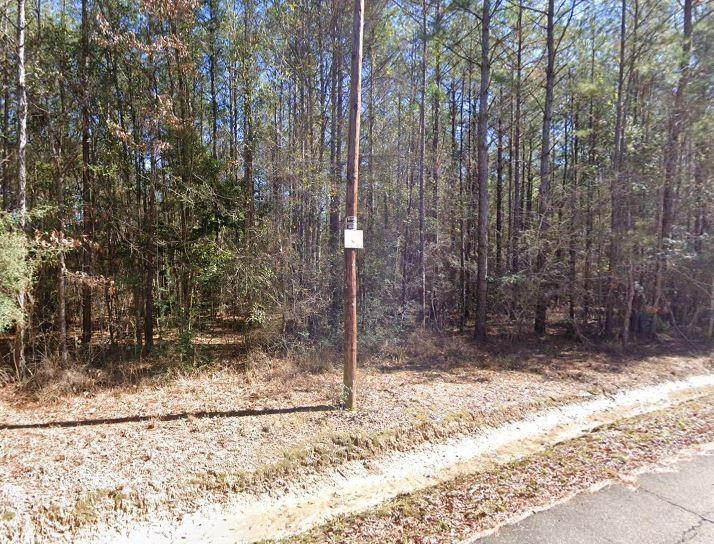 10 Acres Vacant Land Raiford Road, Ponchatoula, Louisiana image 7