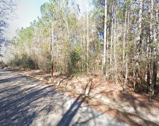 10 Acres Vacant Land Raiford Road, Ponchatoula, Louisiana image 8