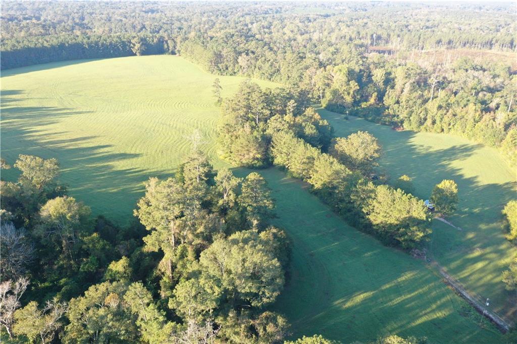 Fairborn Road, Franklinton, Louisiana image 15