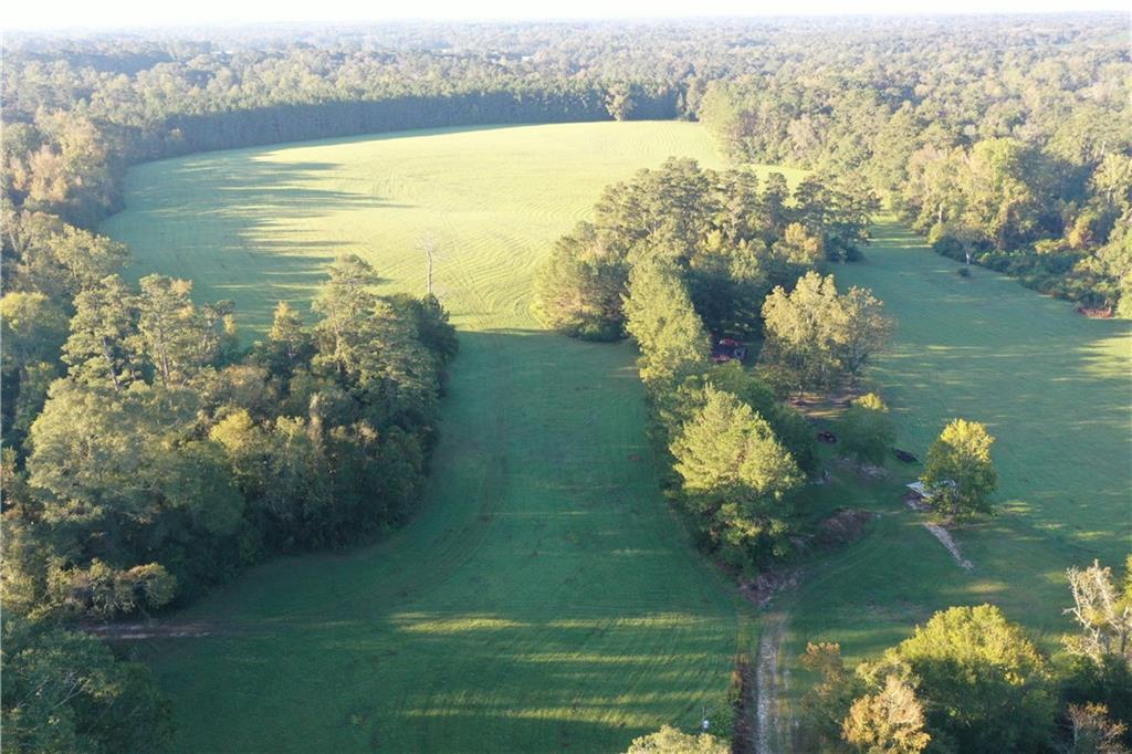 Fairborn Road, Franklinton, Louisiana image 2