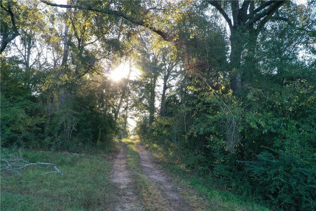 Fairborn Road, Franklinton, Louisiana image 22