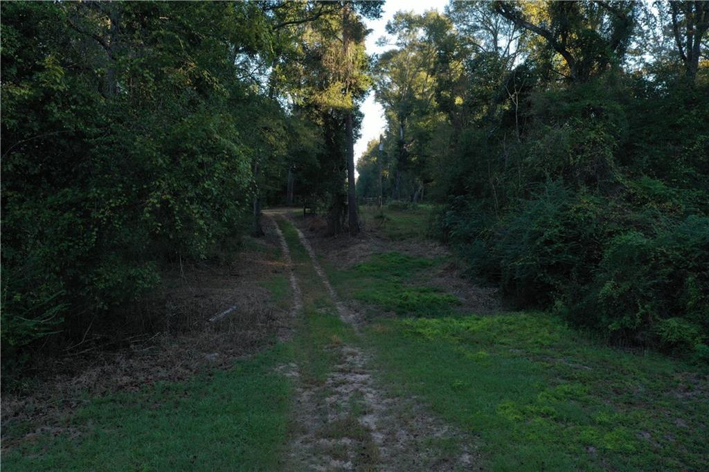 Fairborn Road, Franklinton, Louisiana image 7