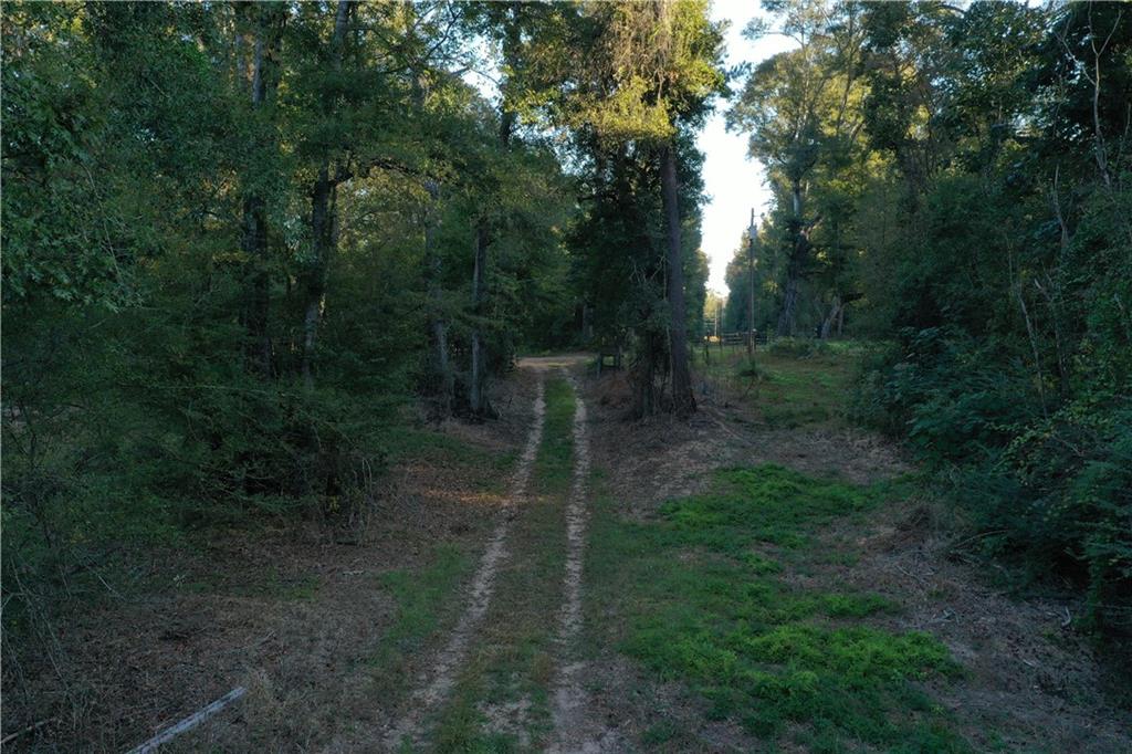 Fairborn Road, Franklinton, Louisiana image 8