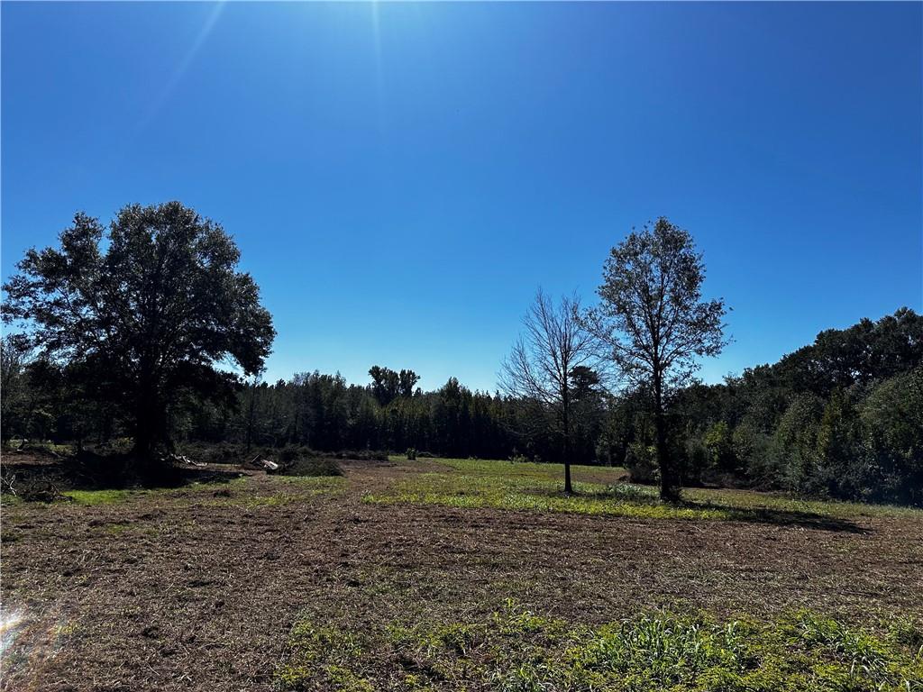 C Corkern Road, Franklinton, Louisiana image 2