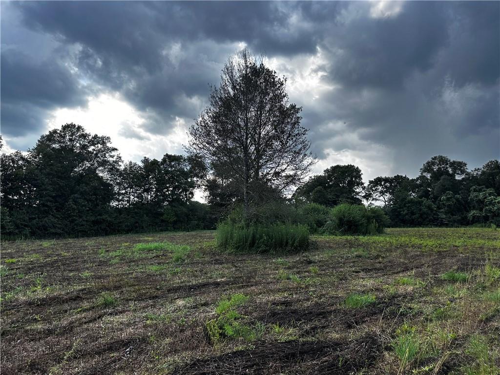 C Corkern Road, Franklinton, Louisiana image 4