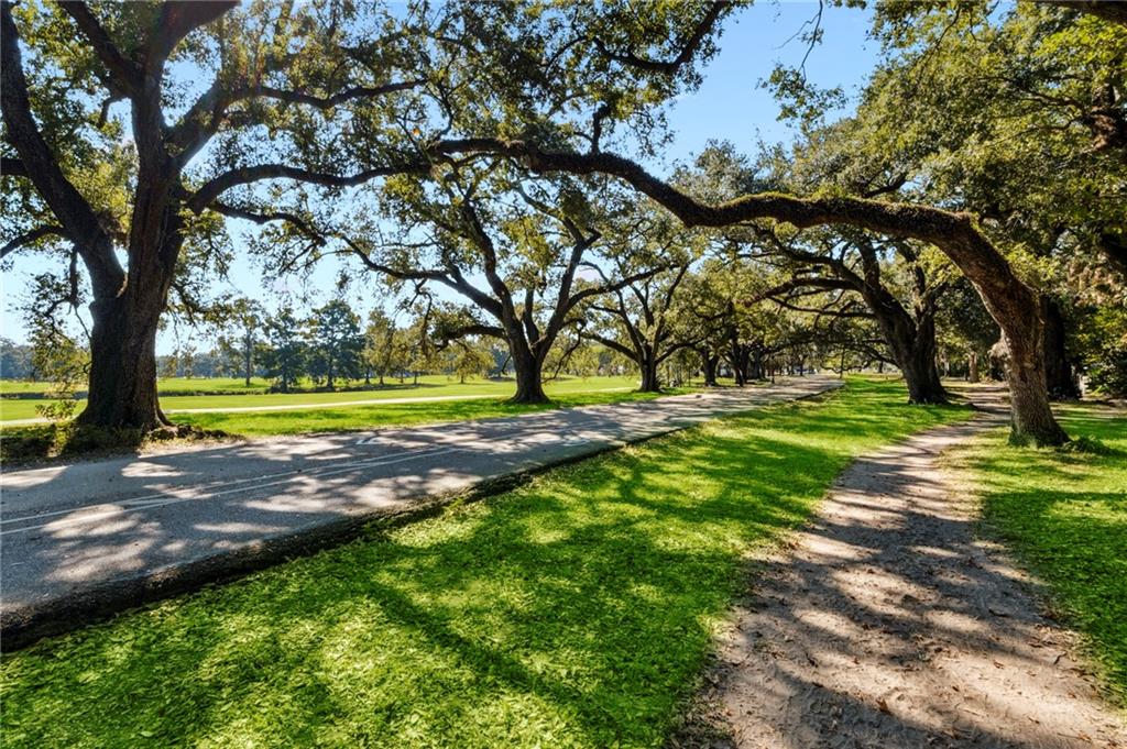 7008 Chestnut Street #101, New Orleans, Louisiana image 16