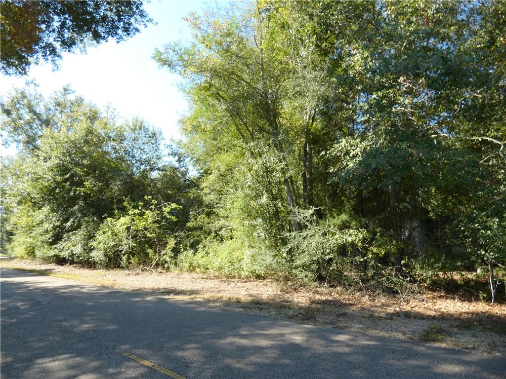 Narretto Road, Loranger, Louisiana image 1