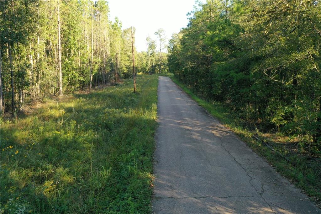 Claiborne Street, Springfield, Louisiana image 11