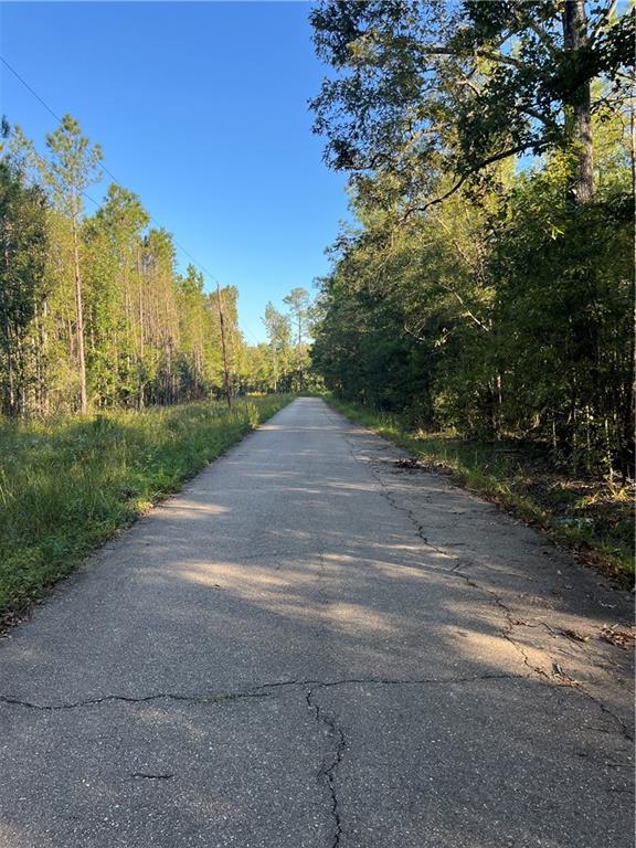 Claiborne Street, Springfield, Louisiana image 15