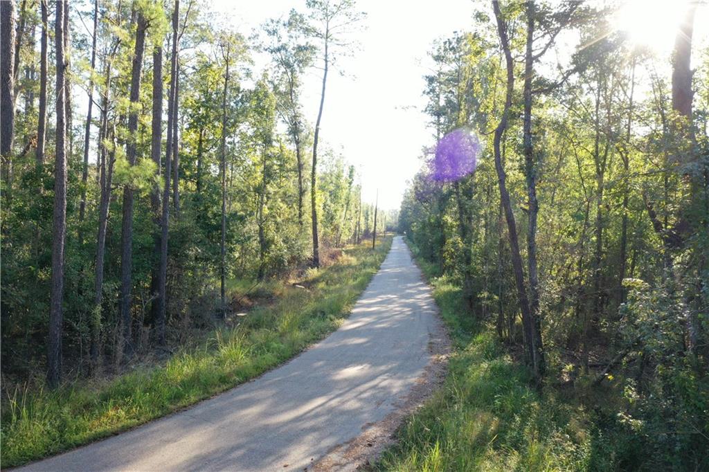 Claiborne Street, Springfield, Louisiana image 18