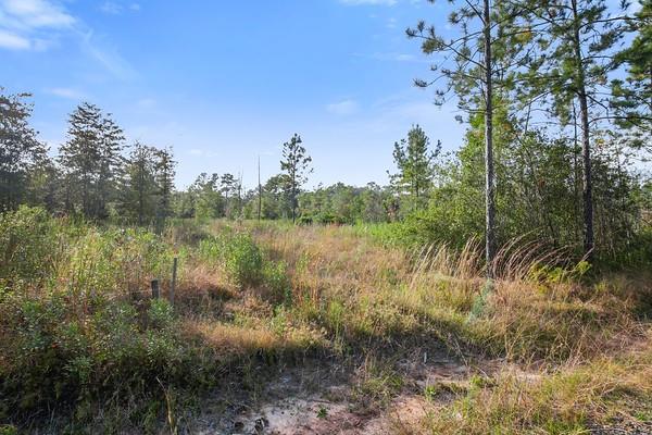 Military (highway 21) Road, Bush, Louisiana image 11