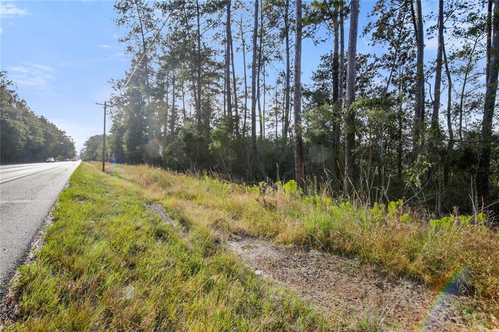 Military (highway 21) Road, Bush, Louisiana image 12