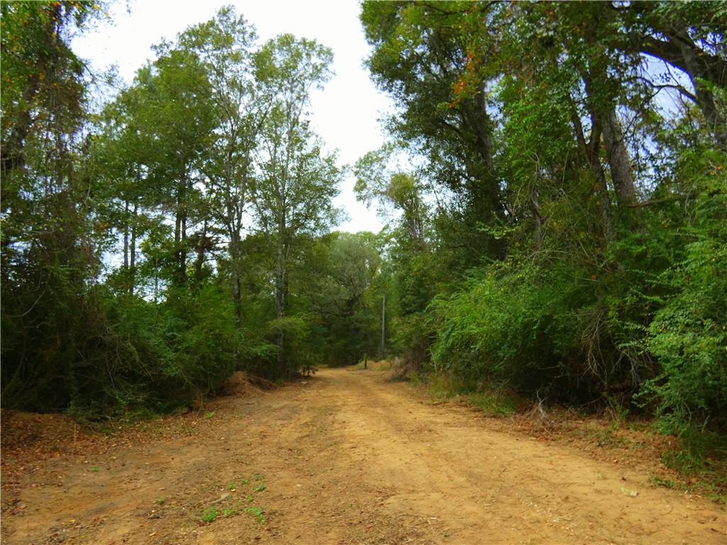 Bollinger Road, Folsom, Louisiana image 3