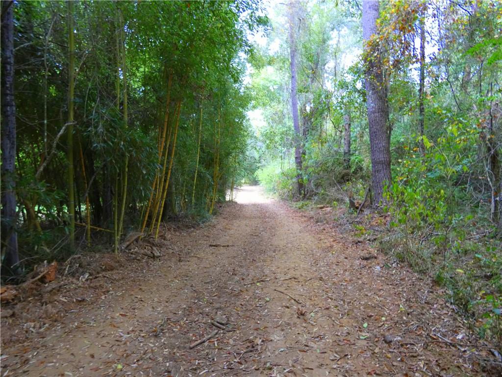 Bollinger Road, Folsom, Louisiana image 8