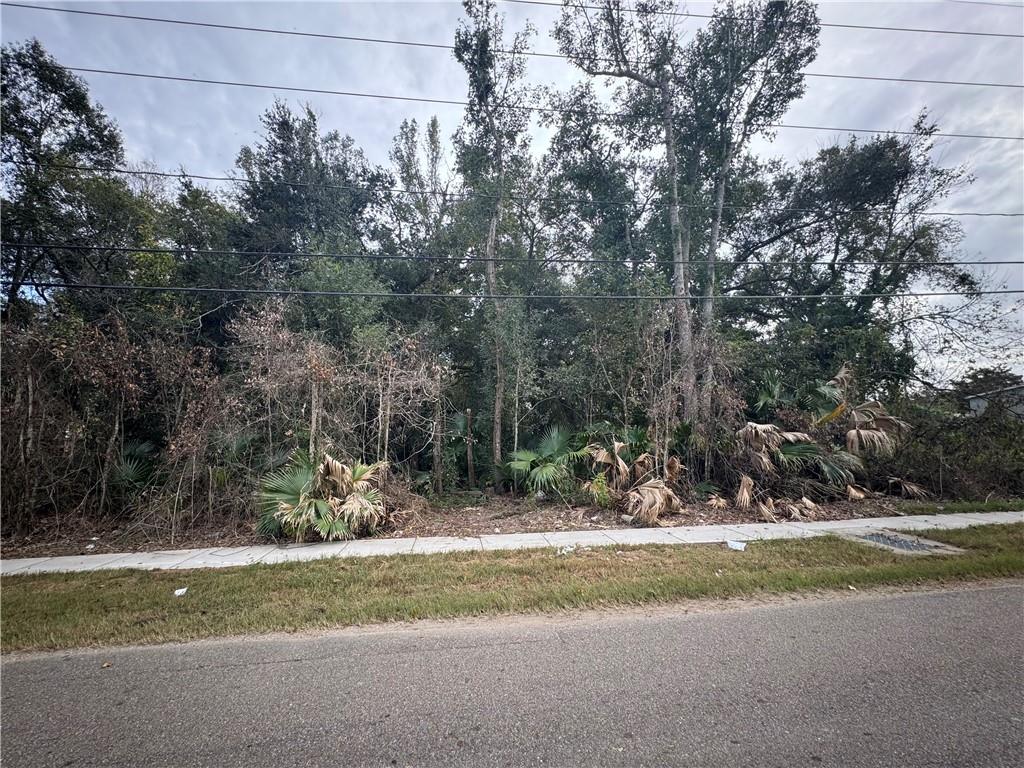 Jean Lafitte Boulevard, Jean Lafitte, Louisiana image 5