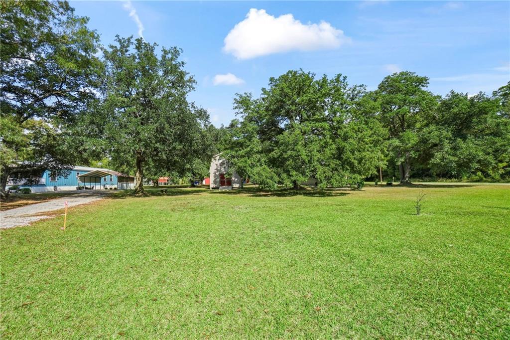 25067 Stepp Road, Robert, Louisiana image 21