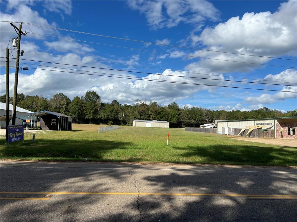 E Highway 10 Highway, Franklinton, Louisiana image 4