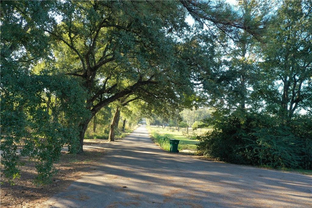 Jackie Gordon Rd Road, Albany, Louisiana image 14