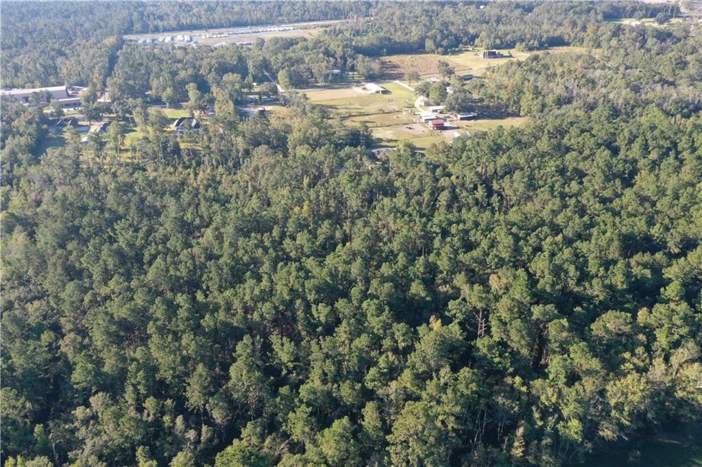 Jackie Gordon Rd Road, Albany, Louisiana image 16