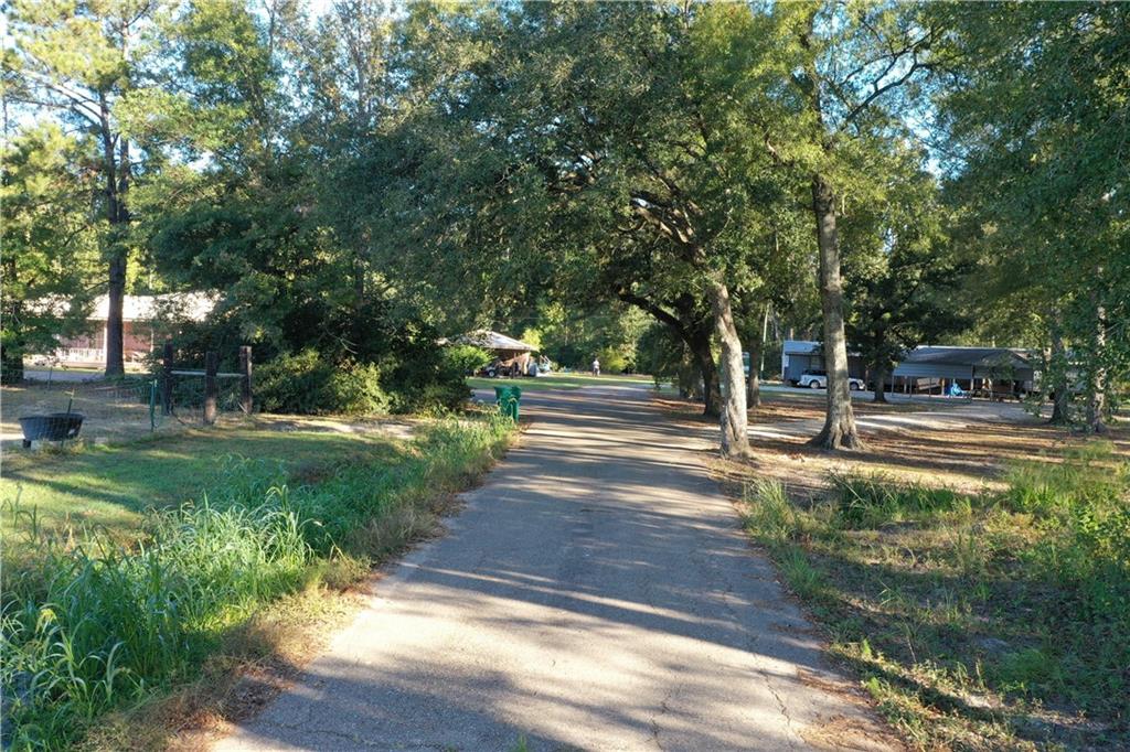 Jackie Gordon Rd Road, Albany, Louisiana image 18