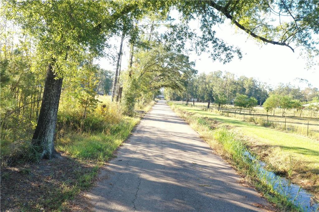 Jackie Gordon Rd Road, Albany, Louisiana image 26