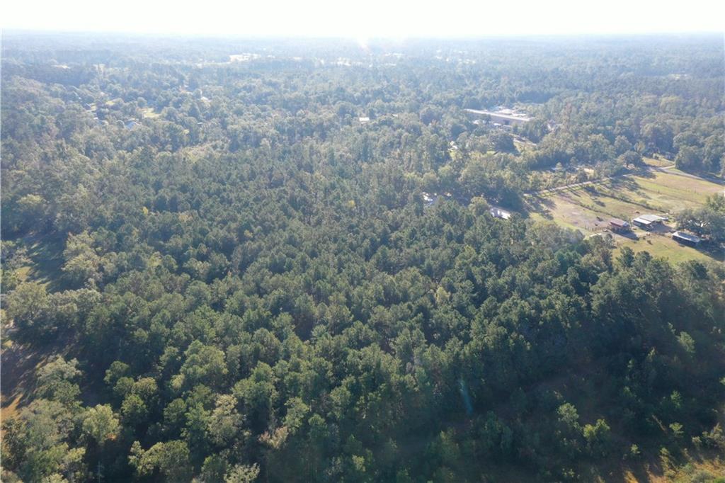 Jackie Gordon Rd Road, Albany, Louisiana image 34