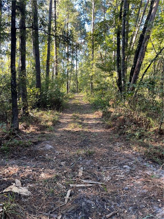 Jackie Gordon Rd Road, Albany, Louisiana image 38