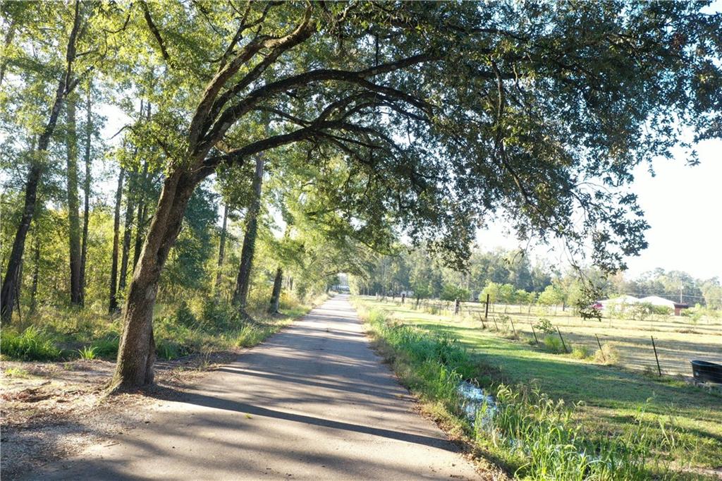 Jackie Gordon Rd Road, Albany, Louisiana image 5