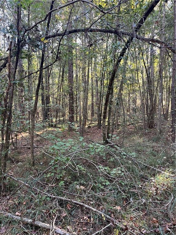 Jackie Gordon Rd Road, Albany, Louisiana image 8