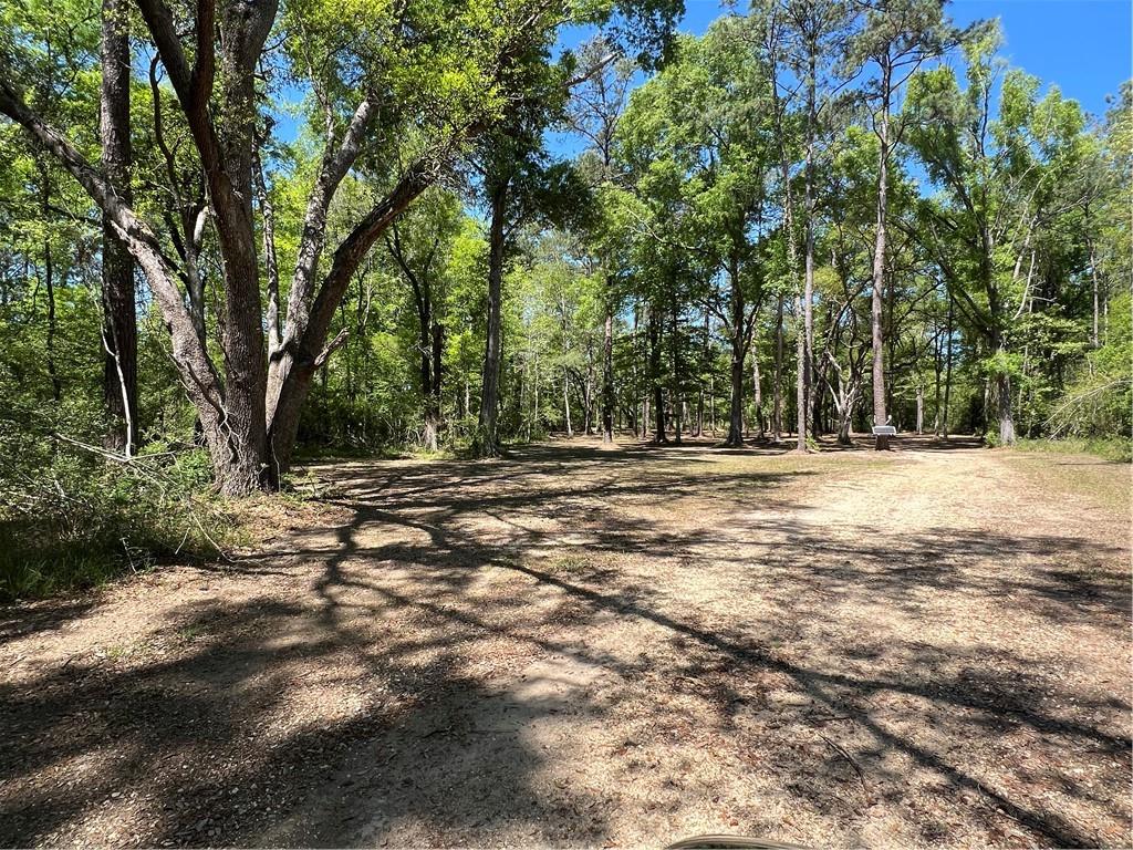 42176 C C Road, Ponchatoula, Louisiana image 8