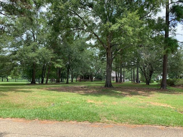 Lot 110 Chinawood Drive, Abita Springs, Louisiana image 1