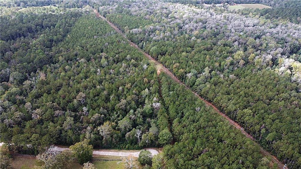 49 Acres Holliday Road, Folsom, Louisiana image 1