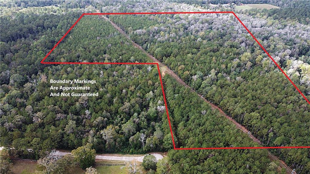 49 Acres Holliday Road, Folsom, Louisiana image 3