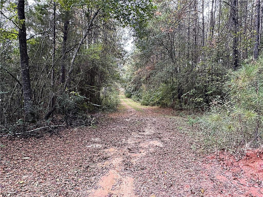 49 Acres Holliday Road, Folsom, Louisiana image 4