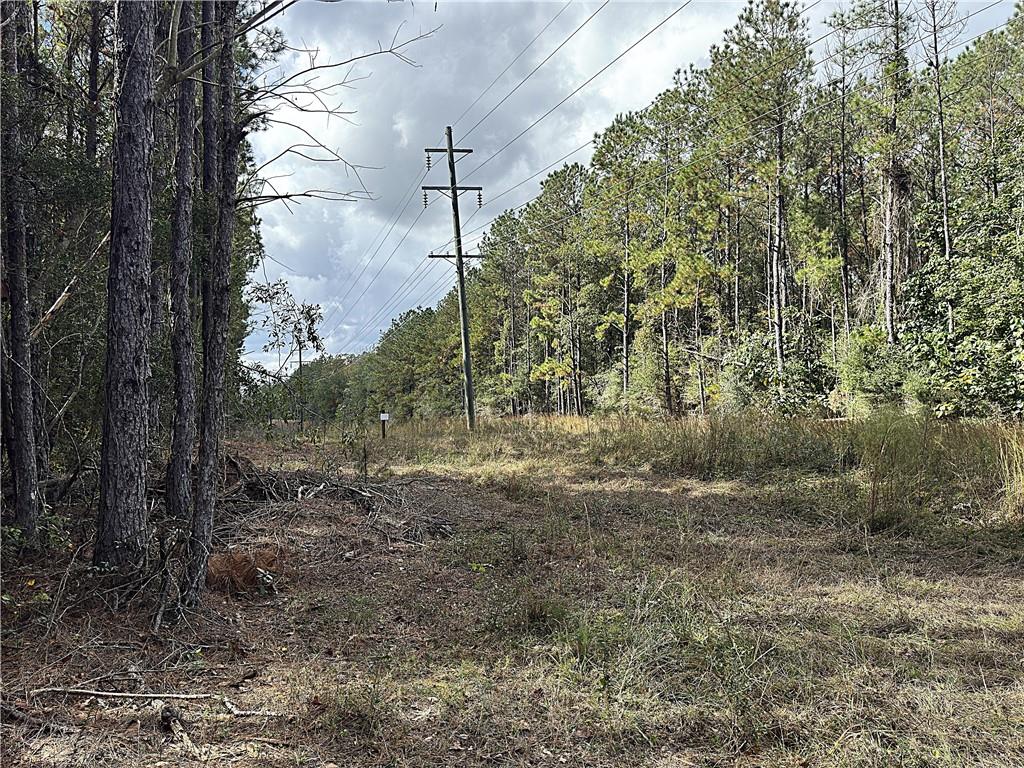 49 Acres Holliday Road, Folsom, Louisiana image 6