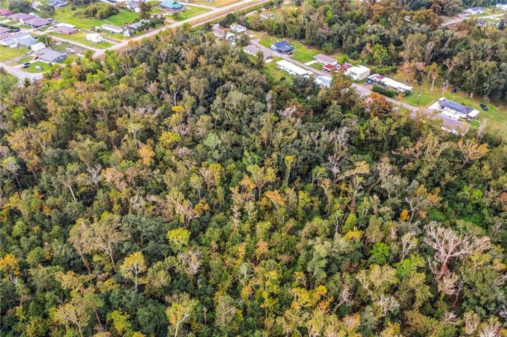 Ridge Road, Des Allemands, Louisiana image 6