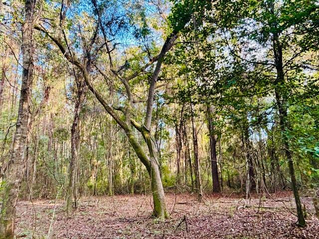 10.34 Acres E Moran Road, Pearl River, Louisiana image 2